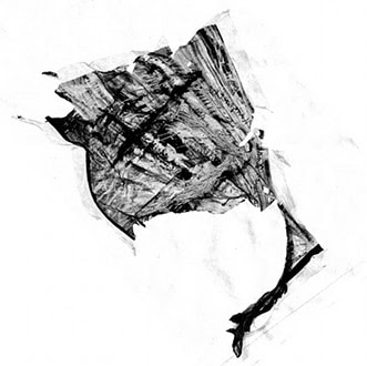 SC_STR_7inch_cover_final.jpg