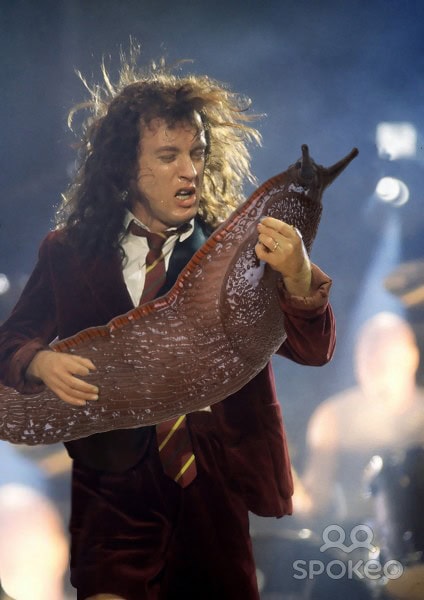 angus young