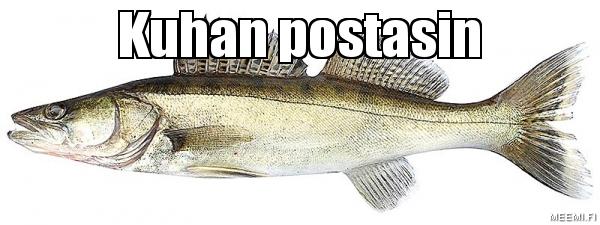 dbvaq6.jpg