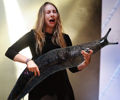 este haim