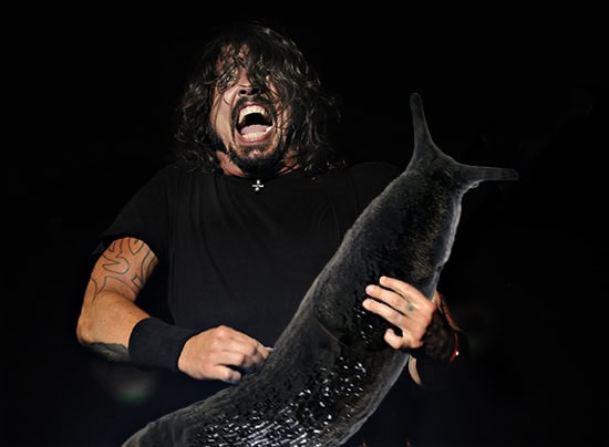 Dave Grohl from the Foo Fighters performs at Lollapalooza. Sunday, August 7, 2011. | Tamara Bell~Sun Times Media