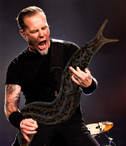 james hetfield