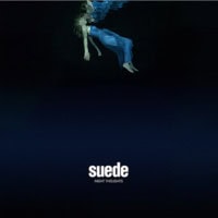 suede