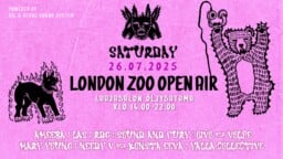Basso jytkyy pian – Helsingissä järjestettävä ilmainen sound system -musiikkiin keskittyvä London Zoo Open Air tulee taas