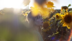 ”Saatan inspiroitua korealaisista kansanlauluista yhtä lailla kuin Tiktokissa trendaavista biiseistä” – haastattelussa Rosmariini