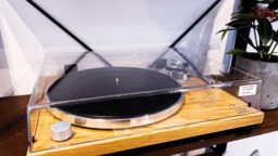 Helsinkiläinen levykauppa muuttaa iloisesta syystä: ”Suuremman tilan tarve on ollut akuutti jo pidemmän aikaa”