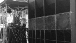 Brittiläiseen konemusiikkiin keskittyvä London Zoo Helsinki järjestää viikonloppuna ilmaisbileet Laajasalossa